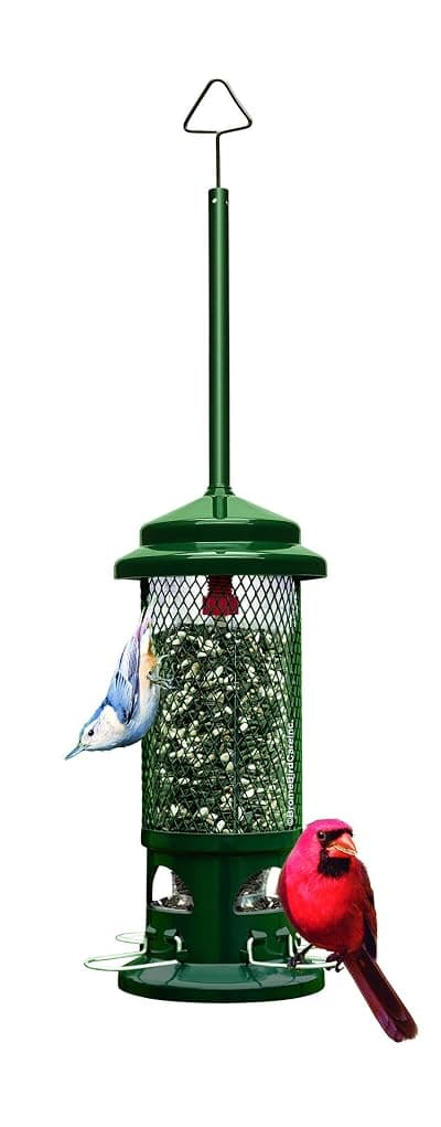 Squirrel Buster Standard Truly Squirrel-Proof Bird Feeder 1 Pack Bird Feeder