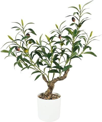 Faux Olive Tree, 2ft Potted — Console & Tabletop Styling