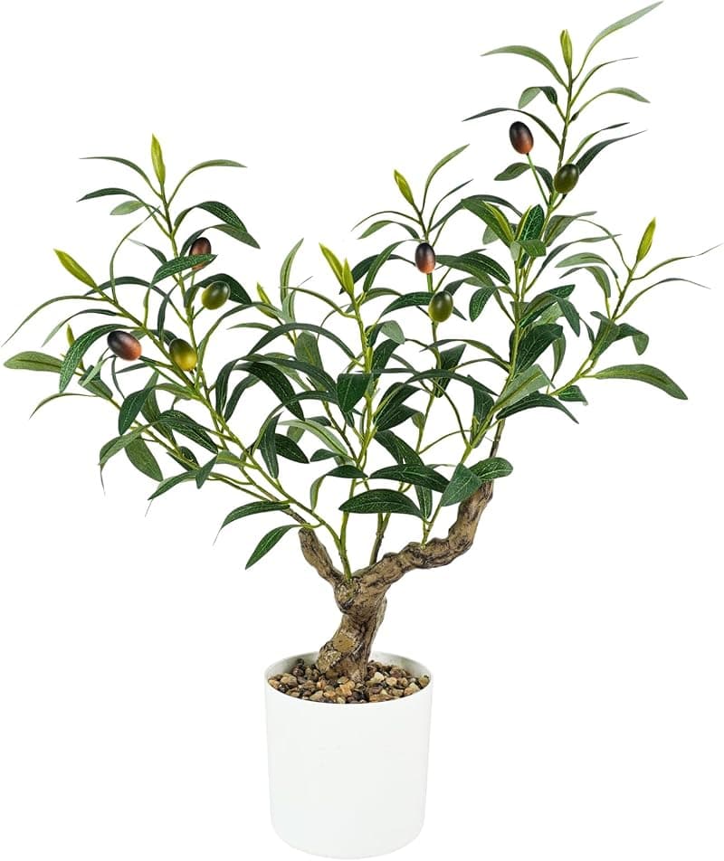 Faux Olive Tree, 2ft Potted — Console & Tabletop Styling